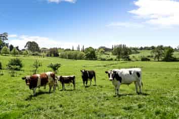 3323 Ohaupo Road, Rukuhia