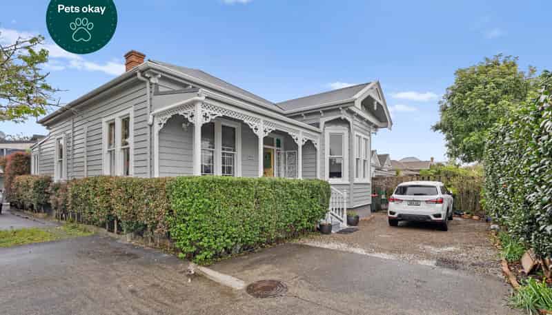 206A Balmoral Road, Culverden
