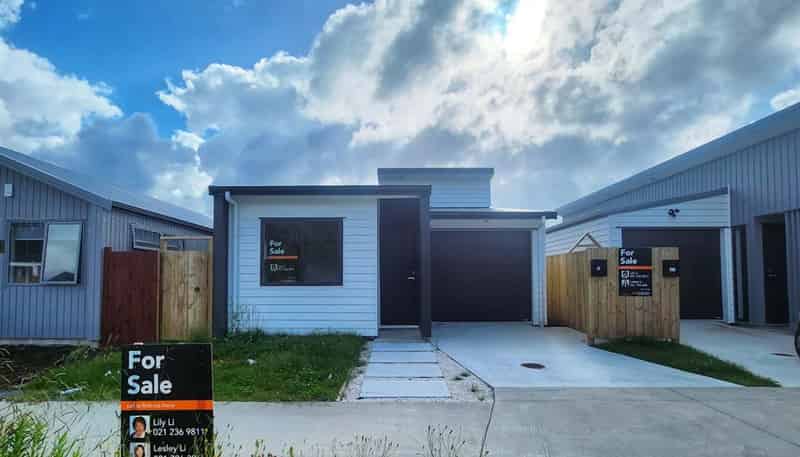  29 Hoia Street, Takanini