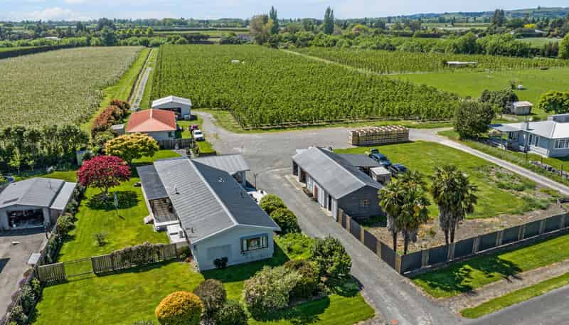 25 Watson Road, Karamu