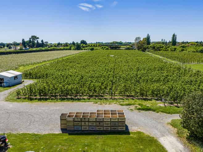 25 Watson Road, Karamu