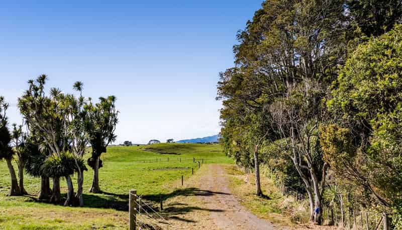 183 Warea Road, Okato