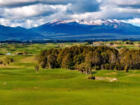 183 Warea Road, Warea