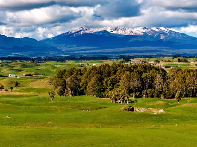 183 Warea Road, Warea