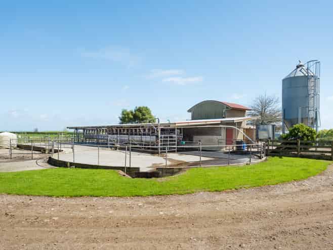 220 Waiomou Road, Okoroire, Tirau