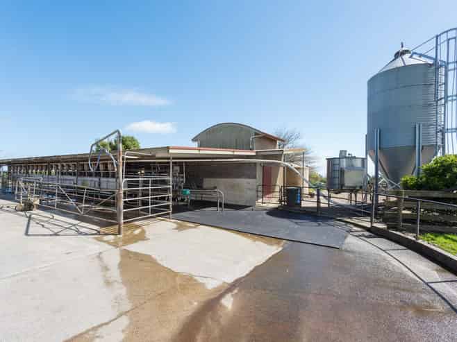 220 Waiomou Road, Okoroire, Tirau