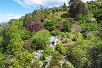 42 & 44 Crown Street, North East Valley