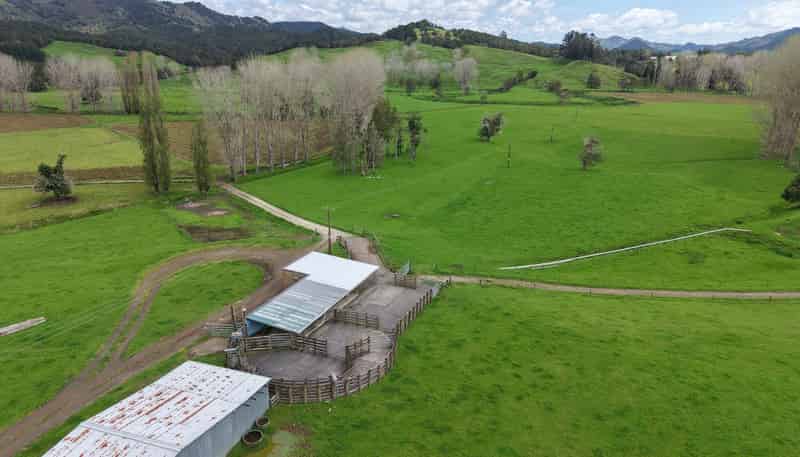 3675 Mangakahia Road, Pakotai