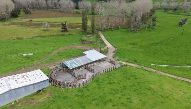 3675 Mangakahia Road, Pakotai