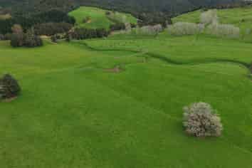 3675 Mangakahia Road, Pakotai