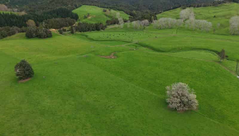 3675 Mangakahia Road, Pakotai