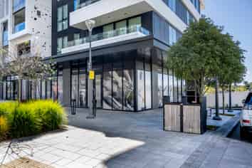 Tenanted Medical Investment