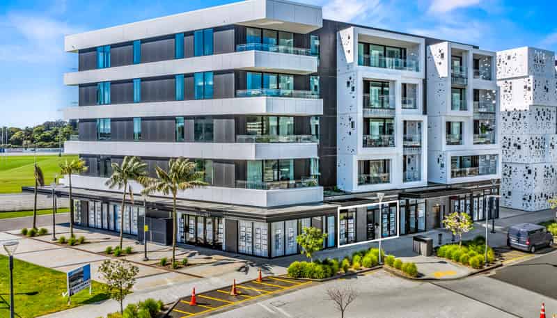 223 Greenlane West, Epsom