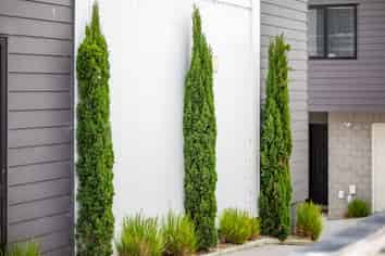 1/20 Marama Street, Frankton