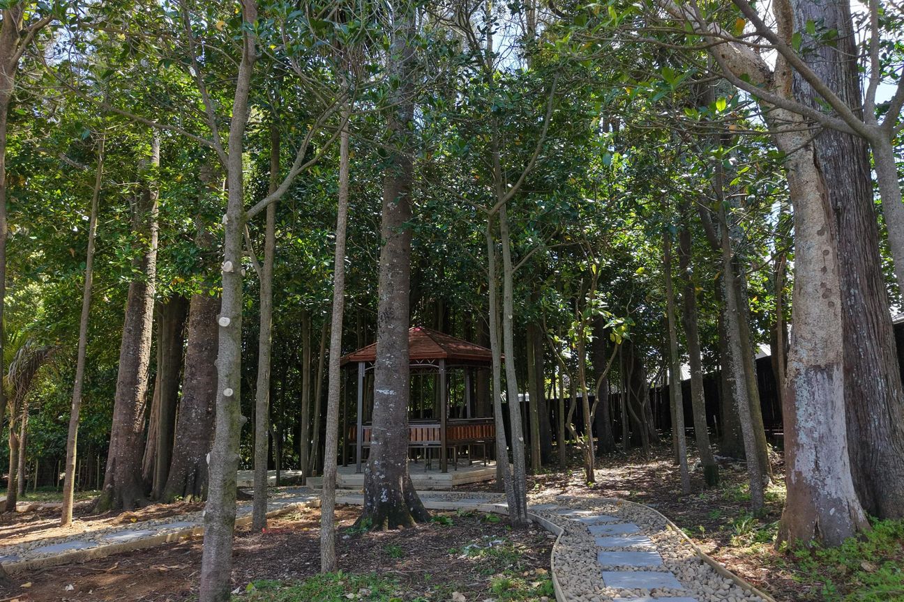 Modern Living Meets Nature at 5 Spudman Rise - Widok 6