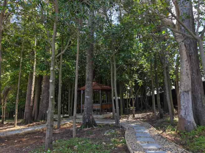 5 Spudman Rise, Pukekohe