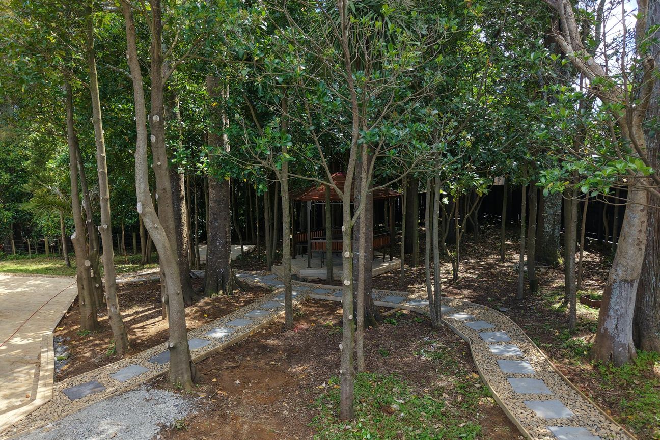 Modern Living Meets Nature at 5 Spudman Rise - Widok 4