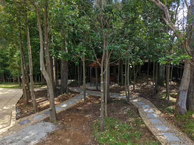 5 Spudman Rise, Pukekohe