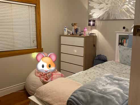 135A Onewa rd, Northcote