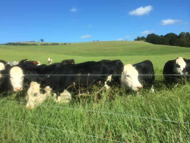  1166 Leigh Road, Matakana