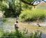 633 Ardgour Road, Tarras, Central Otago, Central Otago / Lakes District