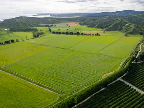 2225 State Highway 2, Whakaki