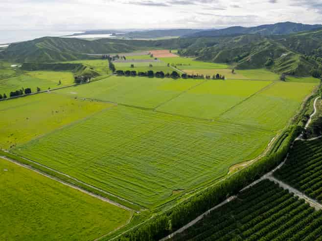 2225 State Highway 2, Whakaki