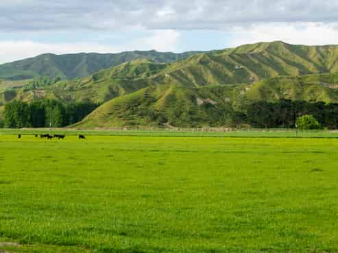 2225 State Highway 2, Whakaki