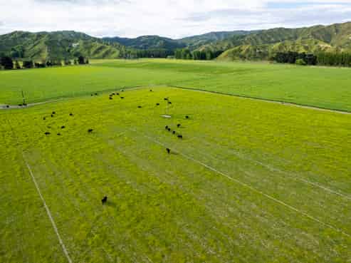 2225 State Highway 2, Whakaki