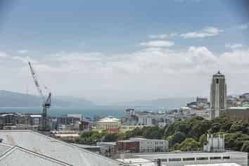 15B Hankey Street (Upper), Mount Cook