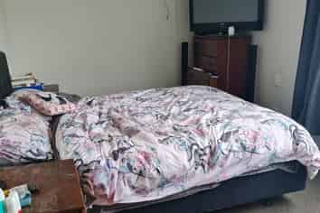 172 Bond Road, Te Awamutu