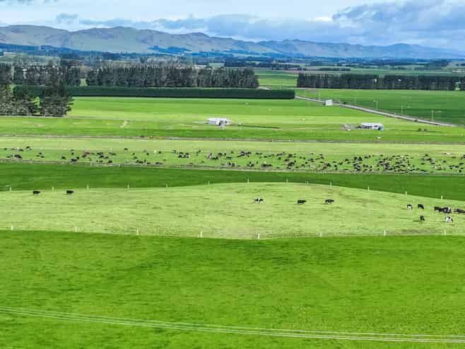 1095-1317 Waimea Valley Road and 1051 Nine Mile Road, Waimea