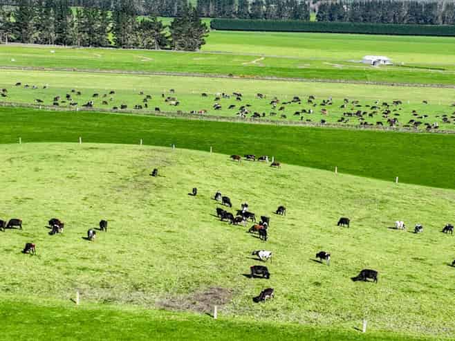 1095-1317 Waimea Valley Road and 1051 Nine Mile Road, Waimea