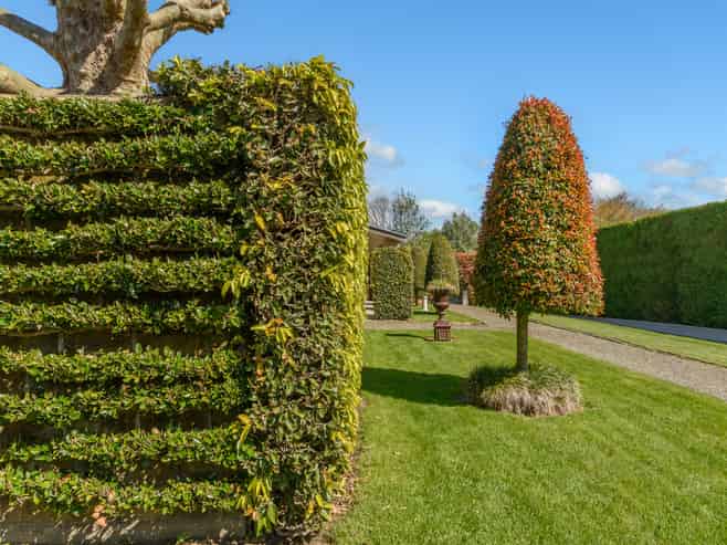 41A Hollister Lane, Ohauiti