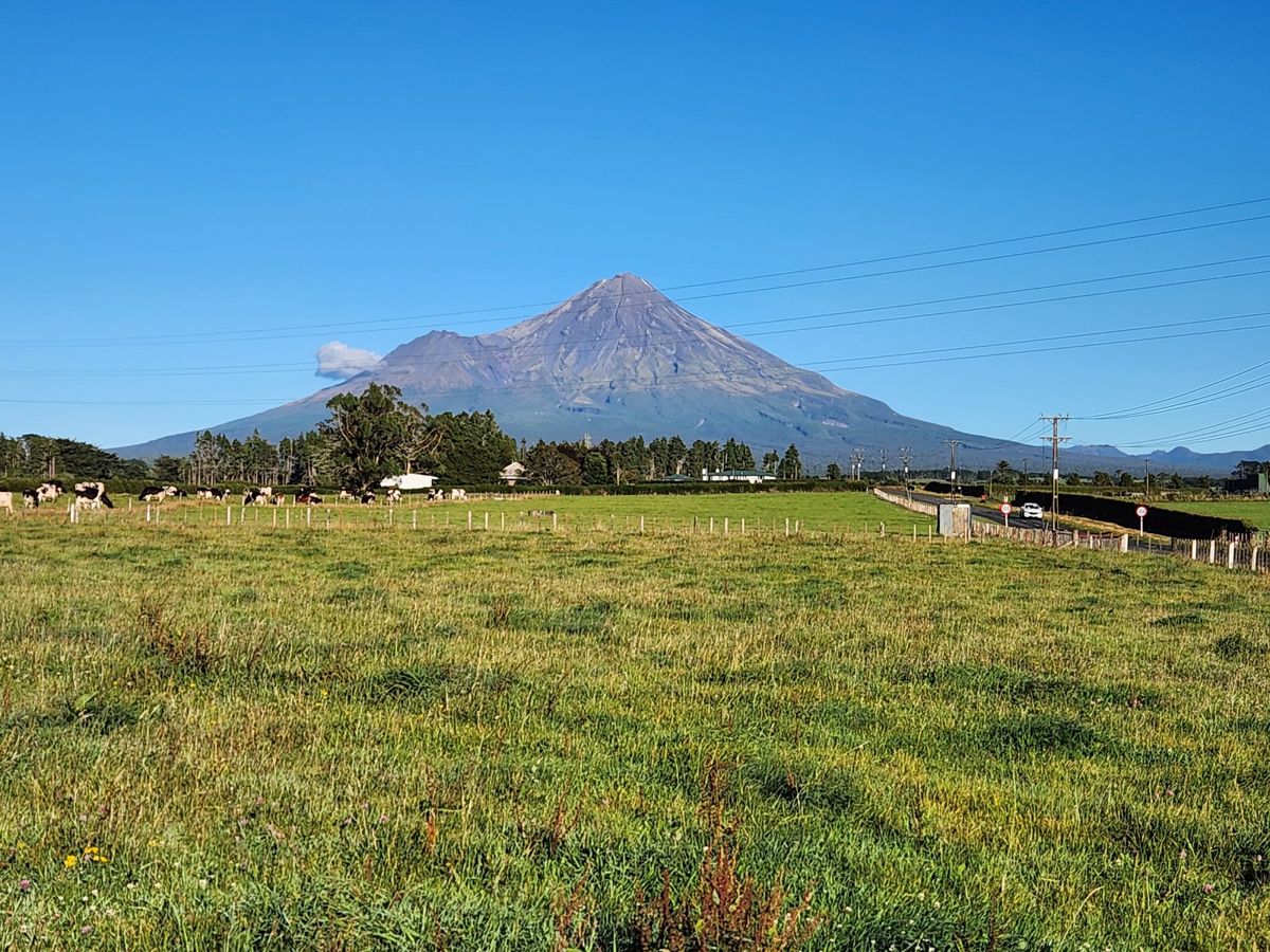 A Beautiful Spot For Your Dream Home - Ansicht 6