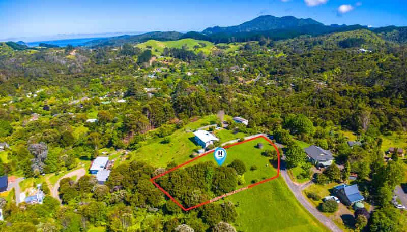 353 Bellville Drive, Coromandel