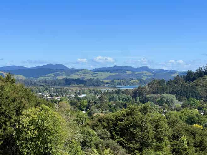 353 Bellville Drive, Coromandel