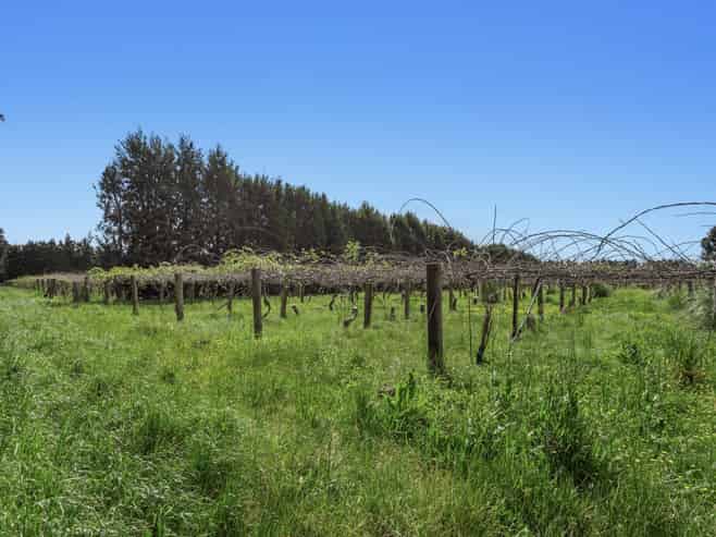 37 Selwyn Road, Poroporo