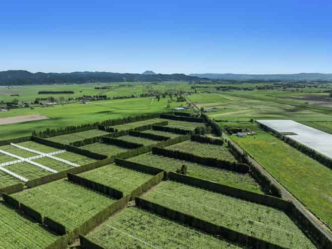 37 Selwyn Road, Poroporo