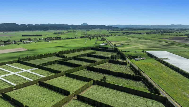 37 Selwyn Road, Poroporo