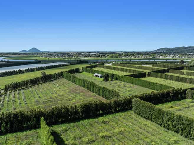 37 Selwyn Road, Poroporo