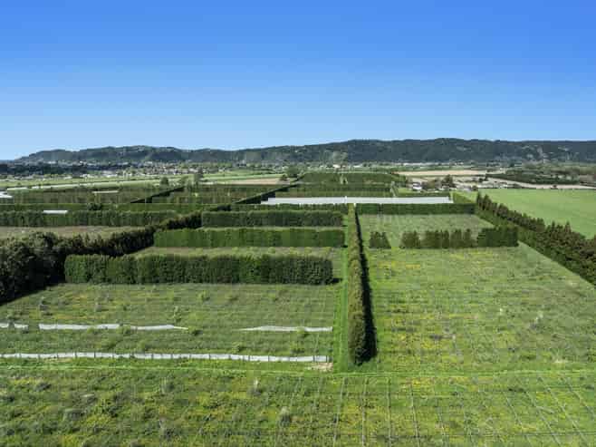 37 Selwyn Road, Poroporo