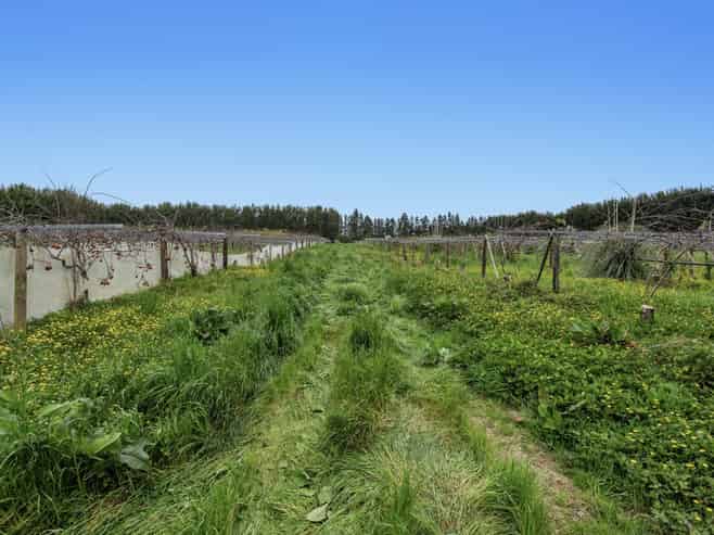 37 Selwyn Road, Poroporo