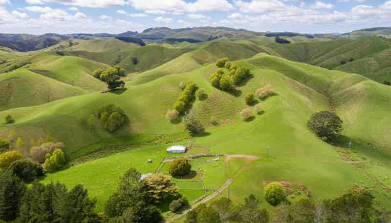 390 North Road, Mauriceville