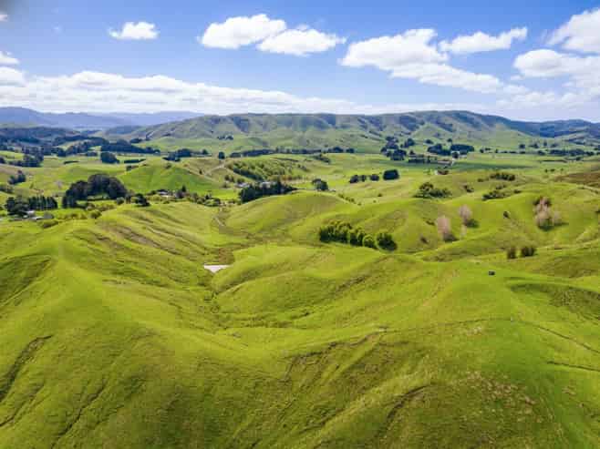 390 North Road, Mauriceville