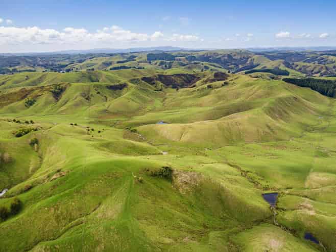 390 North Road, Mauriceville