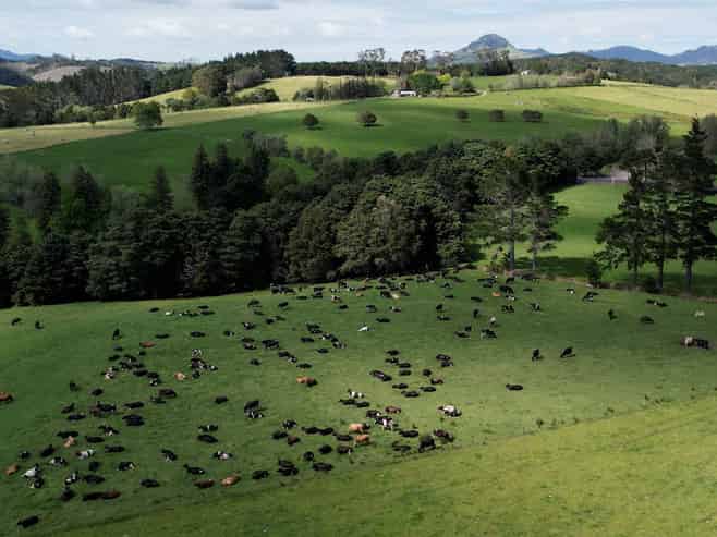 45 Jack Road, Titoki