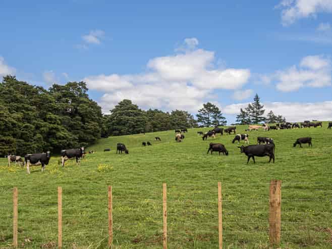 45 Jack Road, Titoki