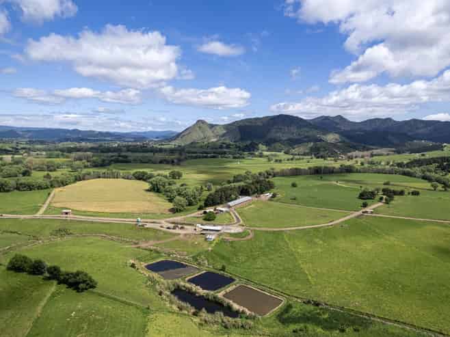 45 Jack Road, Titoki