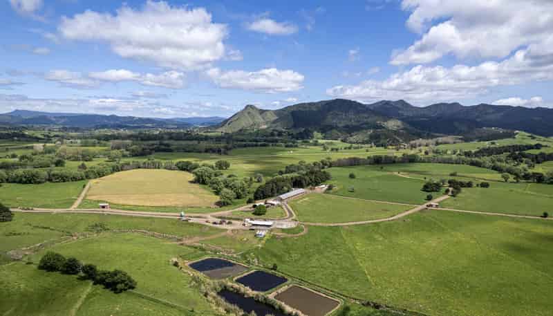 45 Jack Road, Titoki